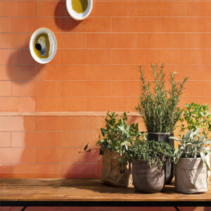 Casablanca Orange Gloss Subway Wall Tile 242x58mm
