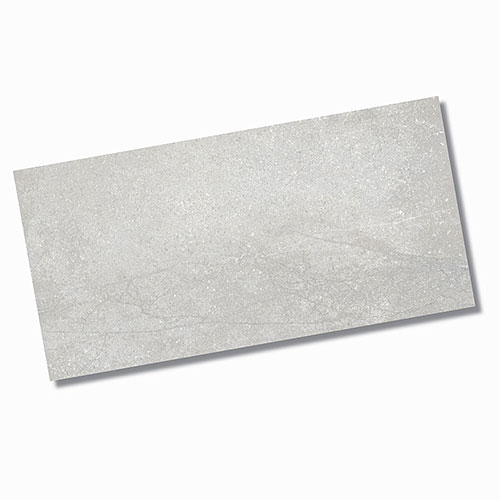 Astra Silver Gloss Wall Tile 300x600mm